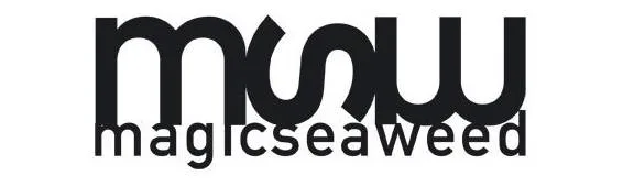 Magic Seaweed